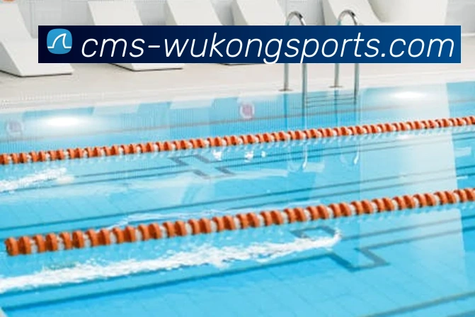 App Interface Preview