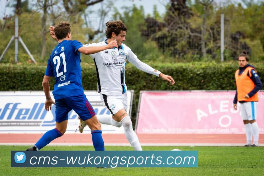 悟空体育APP 封面图